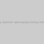 Kaip išsirinkti veterinarijos kliniką Vilniuje?
